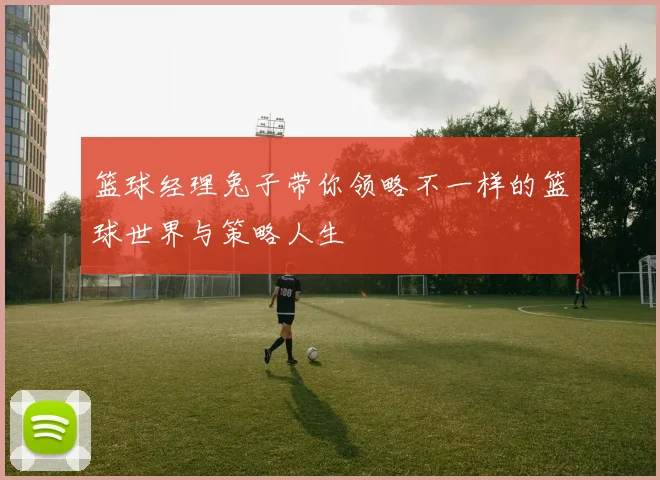 篮球经理兔子带你领略不一样的篮球世界与策略人生