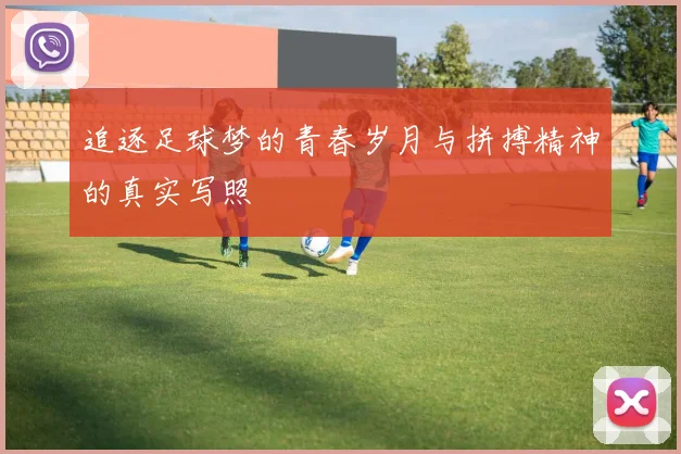 追逐足球梦的青春岁月与拼搏精神的真实写照