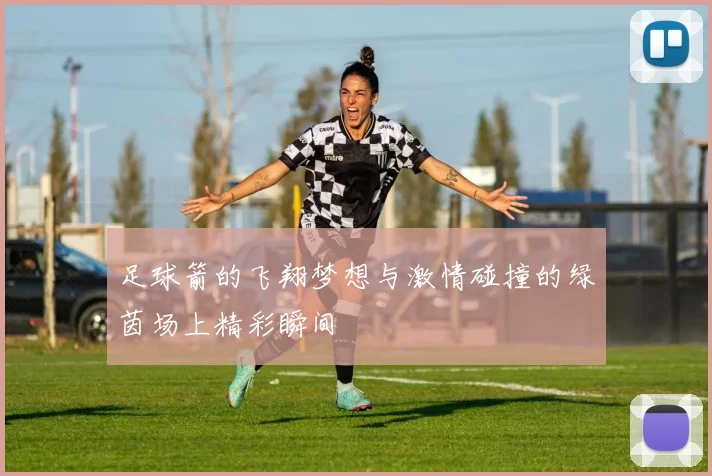 足球箭的飞翔梦想与激情碰撞的绿茵场上精彩瞬间